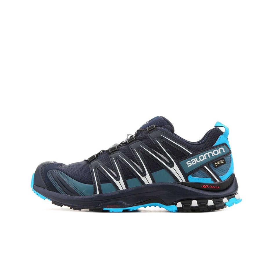 SALOMON XA PRO 3D Męskie buty  – Salomon Shoes Xa Pro 3D recenzja i cena